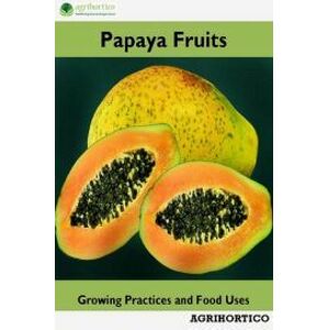 Papaya Fruits