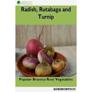 Radish, Rutabaga and Turnip