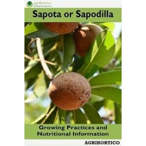 Sapota or Sapodilla