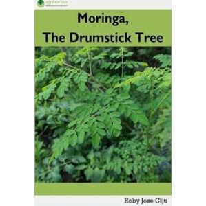 Moringa, the Drumstick Tree