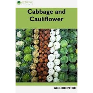 Cabbage and Cauliflower