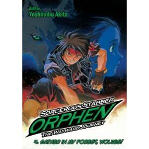 Sorcerous Stabber Orphen: The Wayward Journey Volume 4