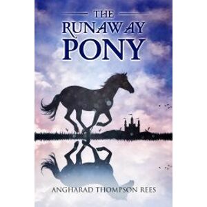 The Runaway Pony