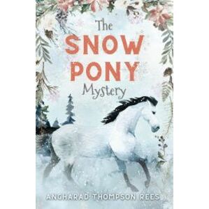 The Snow Pony Mystery