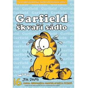 Garfield 16: Škvaří sádlo - Davis Jim