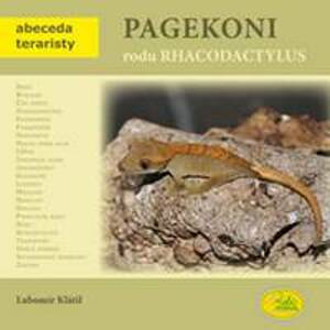 Pagekoni rodu Rhacodactylus - Klátil Lubomír