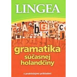 Gramatika súčasnej holandčiny s praktickými príkladmi - autor neuvedený