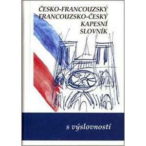 Česko-francouzský a francouzsko-český kapesní slovník - Gailly a kolektiv Iva
