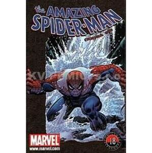 The Amazing Spider-man (kniha 06) - Lee, Kane Gil, Romita John Stan