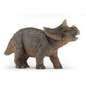 Triceratops mládě - autor neuvedený