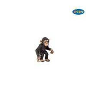 Šimpanz mládě - autor neuvedený