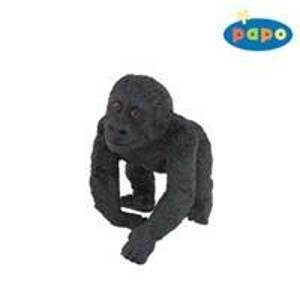 Gorila mládě - autor neuvedený