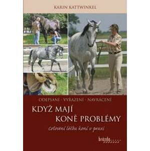 Když koně mají problémy - Karin Kattwinkel
