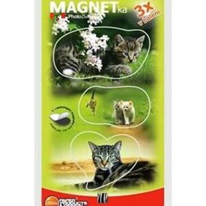 Magnetky Koťata 2 - MF 063 - autor neuvedený