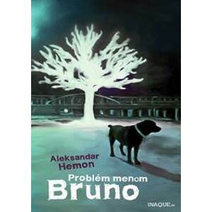 Problém menom Bruno - Aleksandar Hemon