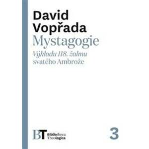 Mystagogie - David Vopřada