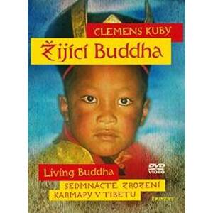 Žijící Buddha - DVD - DVD