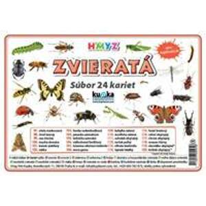 Súbor 24 kariet - zvieratá (hmyz) - Kupka Petr