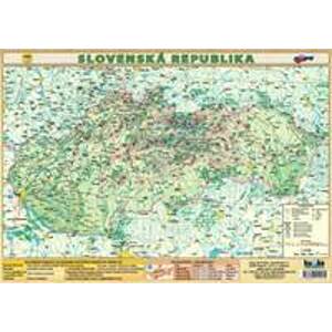Slovenská republika (formát A3) - Kupka Petr