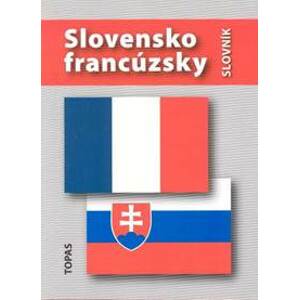 Slovensko-francúzsky slovník - Mináriková Hana