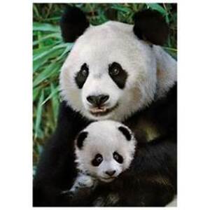 Puzzle Panda s mládětem 1000 dílků - autor neuvedený