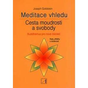 Meditace vhledu - Goldstein Joseph
