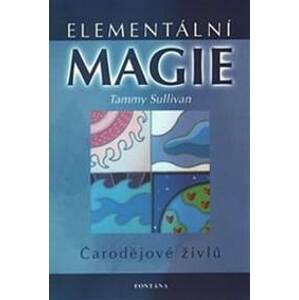 Elementární magie - Tammy Sullivan