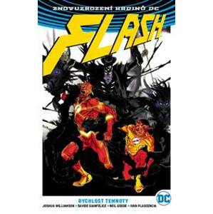 Flash 2: Rychlost temnoty (brož.) - Joshua Williamson