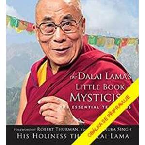 Dalajlamova knížka o mystice - Svatost dalajlama,Renuka Singhová Jeho