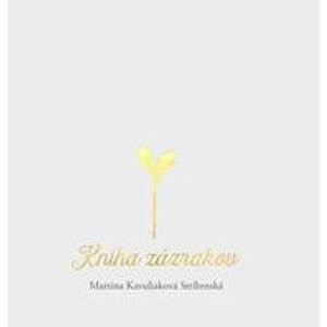 Kniha zázrakov / Okamih stretnutia (obojstranná kniha) - Martina Kavuliaková Stríbrnská