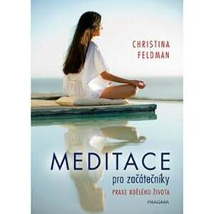 Meditace pro začátečníky Praxe bdělého života - Christine Feldman