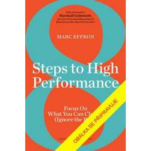 8 kroků k vyšší výkonnosti - Marc Effron