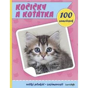 Kočičky a koťátka - Plakát a 100 samolep - autor neuvedený