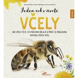 Jeden rok v životě včely - Jak včely žijí, co všechno dělají a proč je královna matkou všech včel - Kolektív autorov