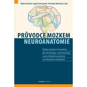Průvodce mozkem - Neuroanatomie - Robert Bartoš, Ingrid J. Concepción, Veronika Němcová