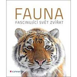 Fauna - autor neuvedený