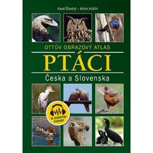 Ptáci Česka a Slovenska - autor neuvedený