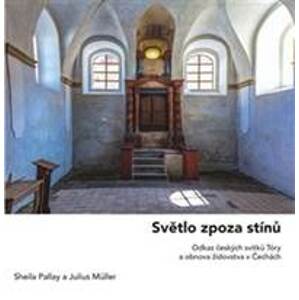 Světlo zpoza stínů - Julius Müller, Sheila Pallay