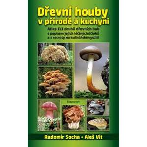 Dřevní houby v přírodě a kuchyni - Socha, Aleš Vít Radomír