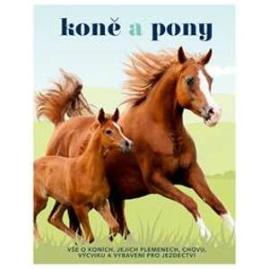 Koně a pony - Vše o koních, jejich plemenech, chovu, výcviku a vybavení pro jezdectví - autor neuvedený