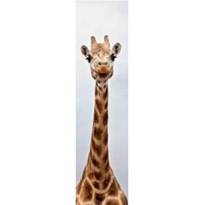 3D záložka - Žirafa - autor neuvedený