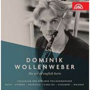 DOMINIK WOLLENWEBER - Dominik Wollenweber