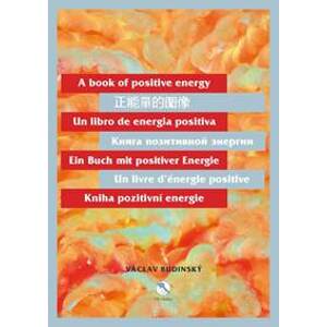 Kniha pozitivní energie (110 x 155 cm) - Budinský Václav