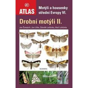 Drobní motýli II. - Motýli a housenky střední Evropy VI. - Kolektív autorov