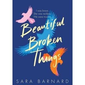 Beautiful Broken Things - Barnardová Sara