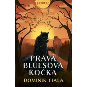Pravá bluesová kočka - Dominik Fiala