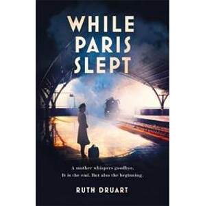 While Paris Slept - Druart Ruth