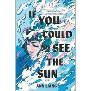 If You Could See the Sun - Liang Ann