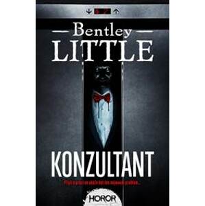 Konzultant - Little Bentley