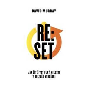 Re:Set - Jak žít život plný milosti v kultuře vyhoření - Murray David Philip